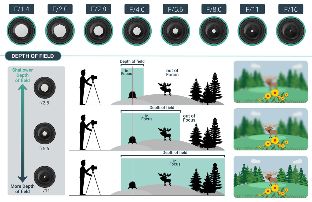 Fotoğrafçılıkta Diyafram Açıklığını Anlamak: Diyaframda Ustalaşmak İçin 11 Temel İpucu