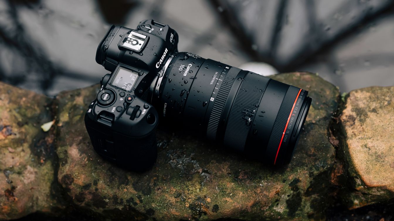 Çarpıcı Makro Fotoğrafçılık Dünyasının Kilidini Açın Canon EF 100mm f2.8L Macro IS USM Lensi benimseyin!