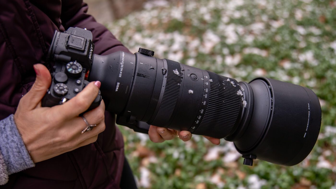 Fotoğrafçılık Potansiyelinizi Ortaya Çıkarın: Sigma 60-600mm F4.5-6.3 DG DN OS Lens için 20 İlgi Çekici Neden