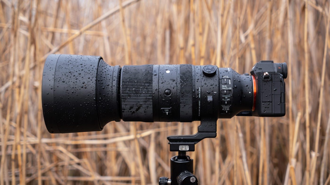 Fotoğrafçılık Potansiyelinizi Ortaya Çıkarın: Sigma 60-600mm F4.5-6.3 DG DN OS Lens için 20 İlgi Çekici Neden