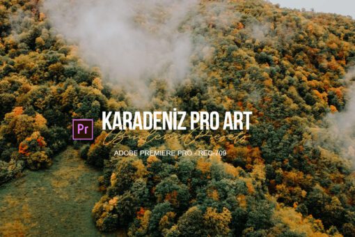 KARADENİZ PRO ART