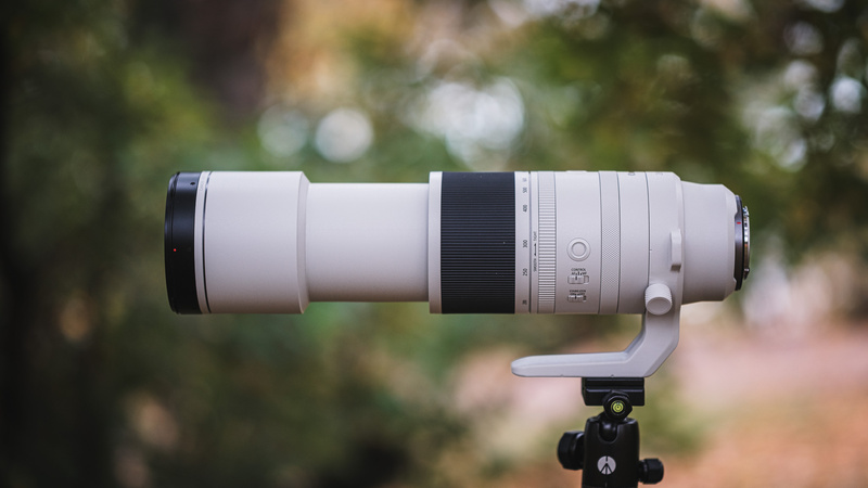 Yeni Canon RF 200-800mm f/6.3-9 IS USM'yi Keşfetmek: Onu Sahip Olunması Gereken 20 Özellik