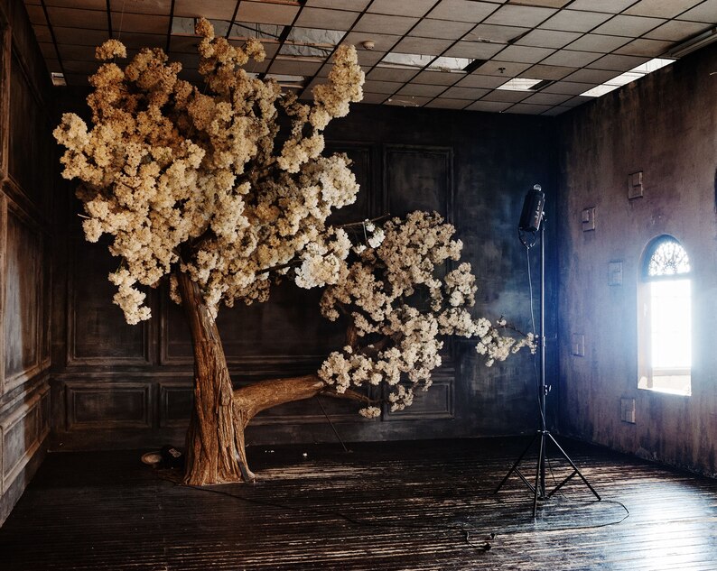 Türkiye'de Düğün Fotoğrafçılığı Stüdyosu Kurmak: Maliyet ve 30 Temel İpucu